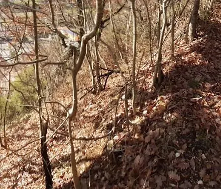 Maison d'hôtes Da Angela Borgorose