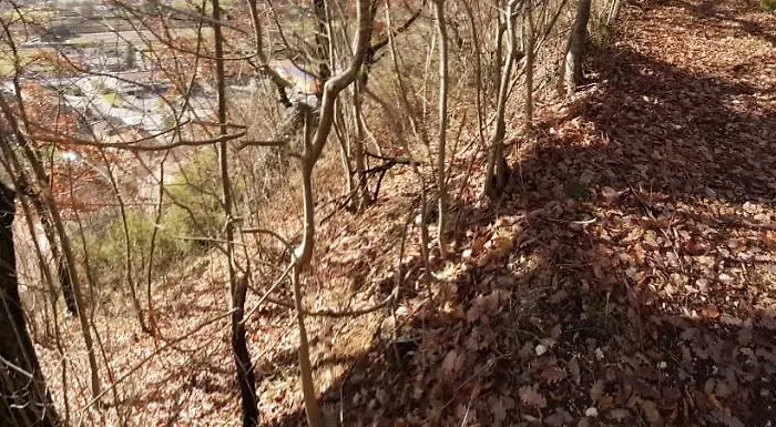 Pensión Da Angela Borgorose